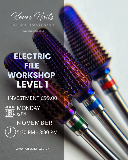 E-File Level 1 Workshop Booking Fee 9th November